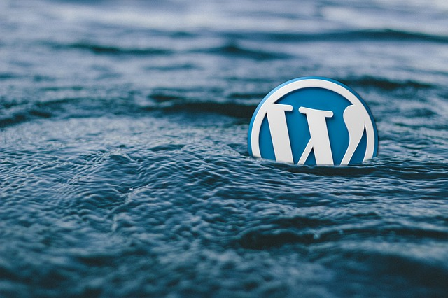 Wordpress-logo in het water.